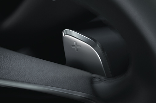 PADDLE SHIFTERS