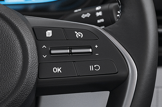 CRUISE CONTROL