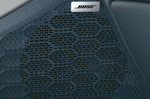 BOSE PREMIUM  SOUND - 8 SPEAKERS