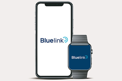 BLUELINK (70+ CONNECTED CAR)