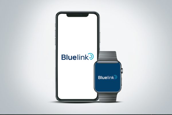 60+ BLUELINK CONNECTED FEATURES