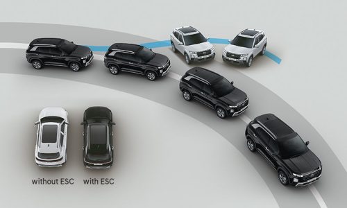 ELECTRONIC STABILITY CONTROL & VSM