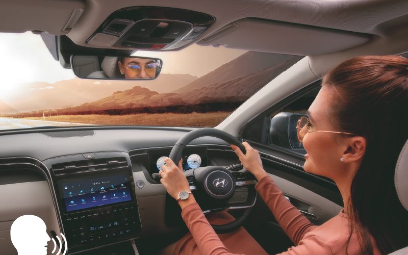 EMBEDDED VOICE COMMANDS
